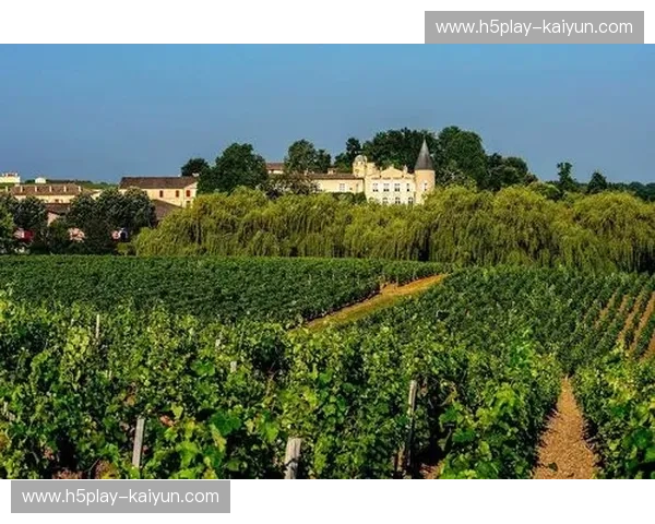 埃蒂安vs波尔多：一场关于风土、激情与梦想的葡萄酒传奇